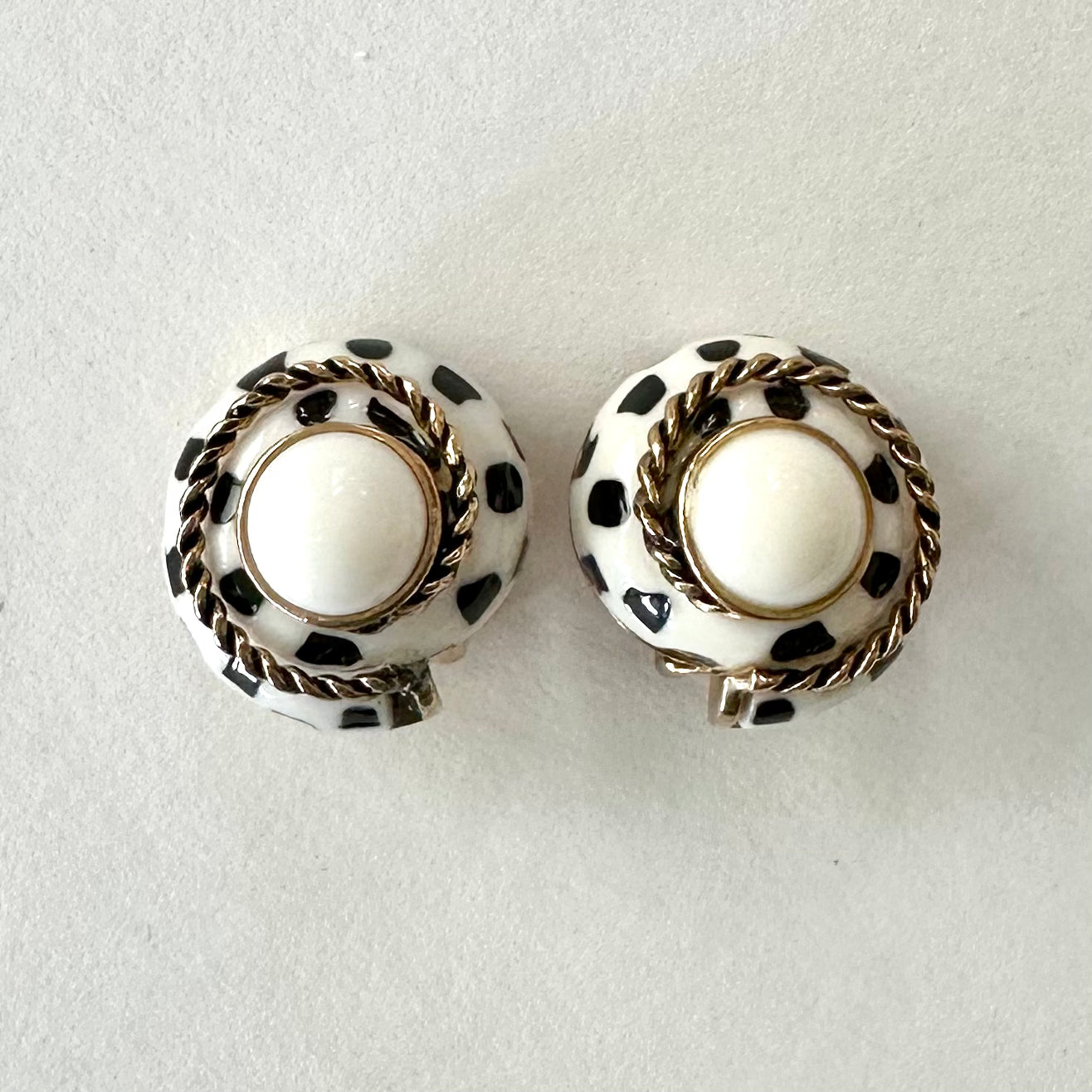Spotted Shell Swirls W Color Center