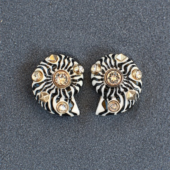 Swirl Zebra Shell in Colors