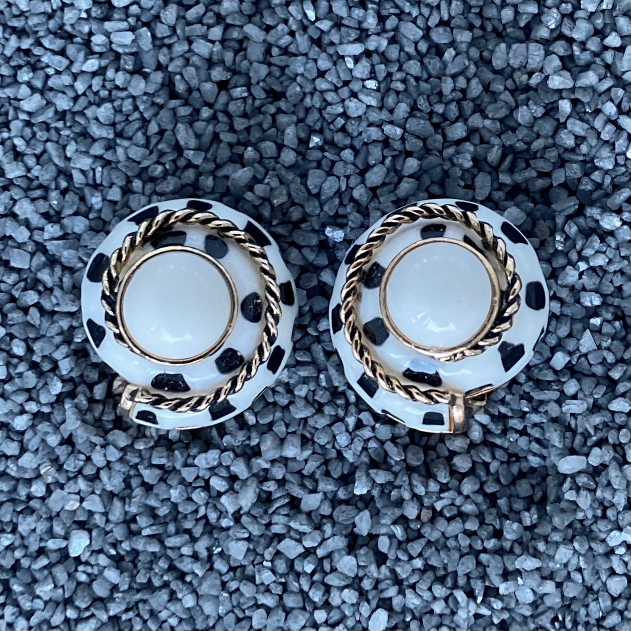 Spotted Shell Swirls W Color Center