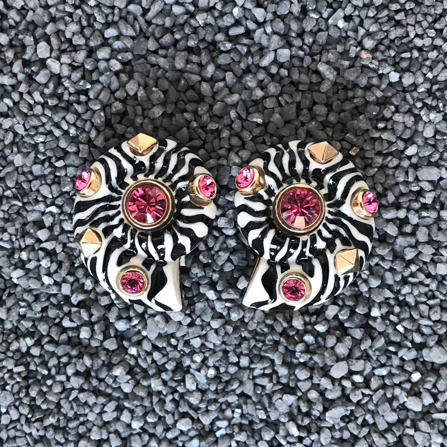 Swirl Zebra Shell in Colors