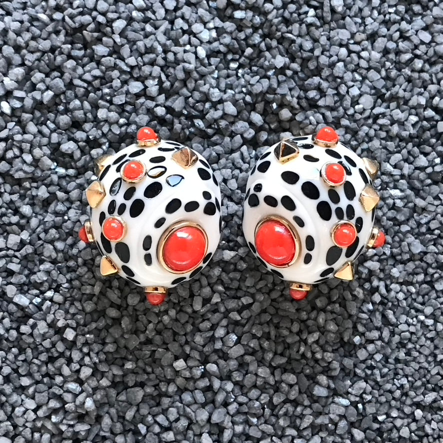 Oval Color Shell