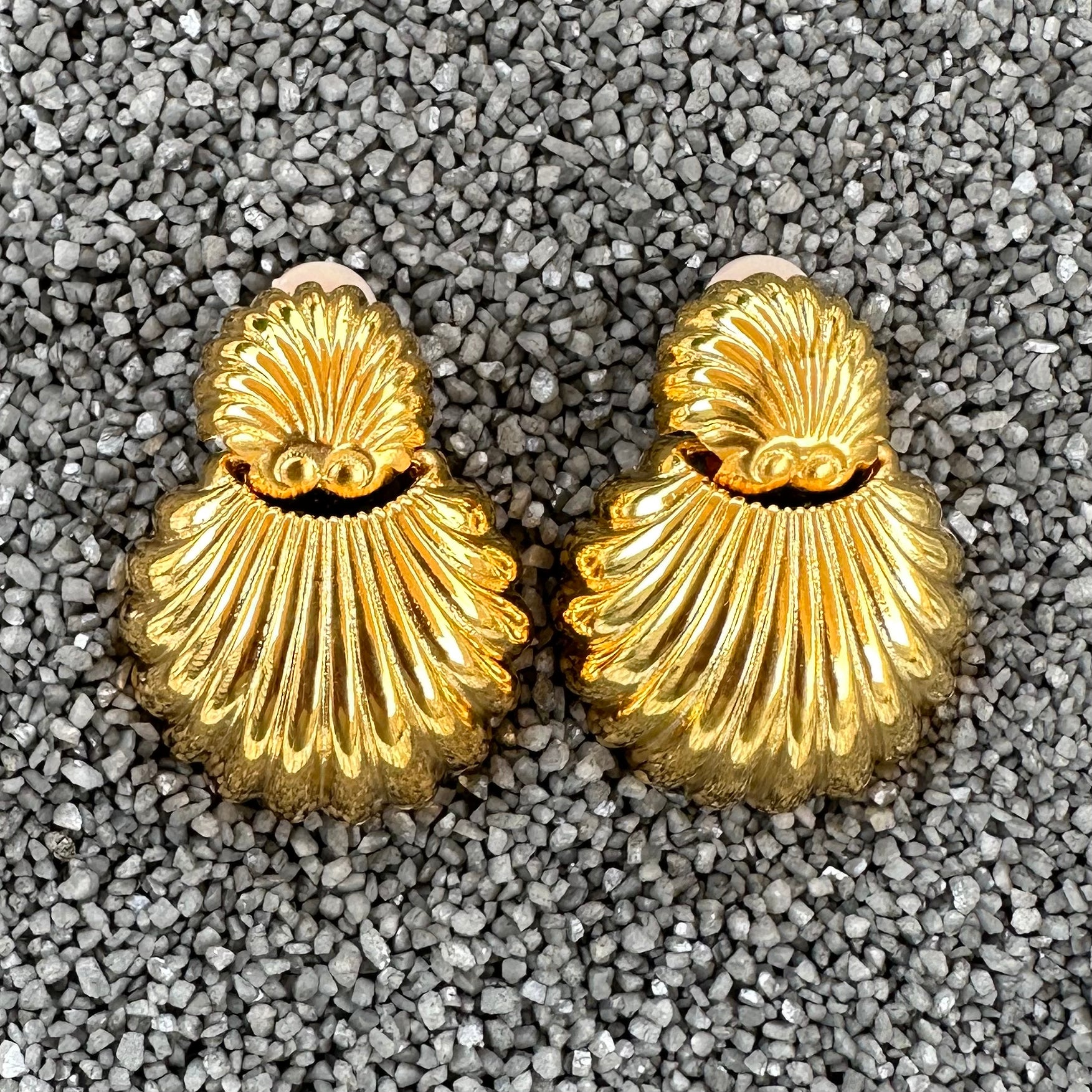 1.5" Sea Shell Gold