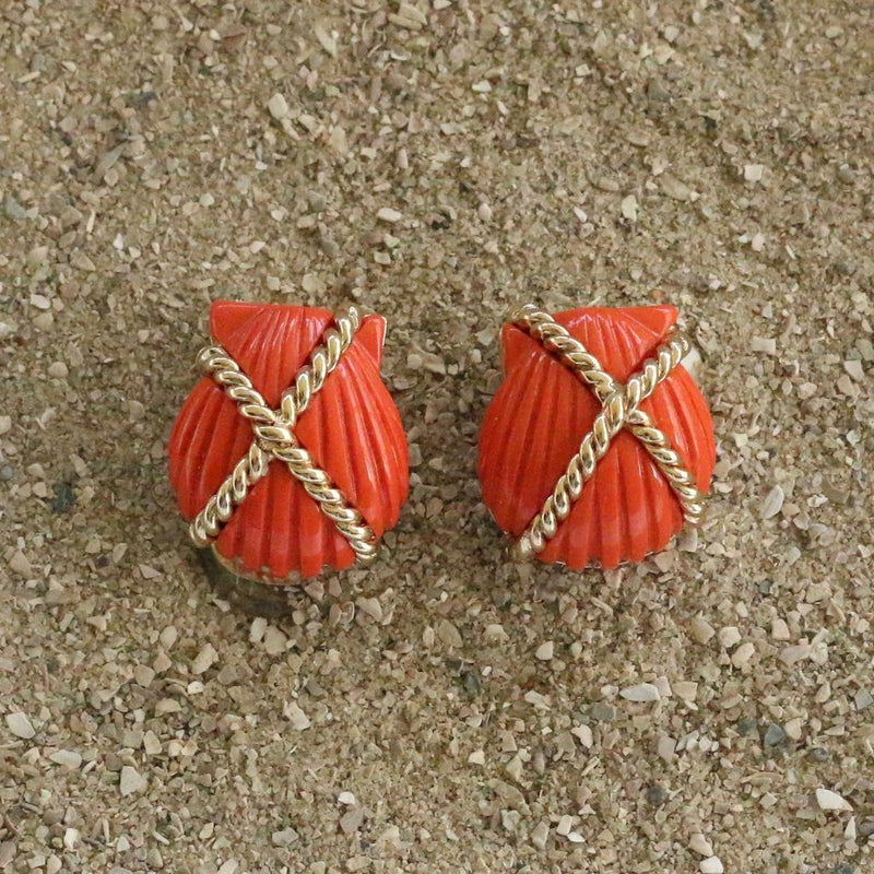 Vcexclusives: Shell Criss Cross Coral