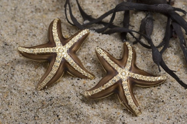 Vcexclusives: Midnight Starfish Brown