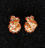 Leopard Coils Gold and Colors