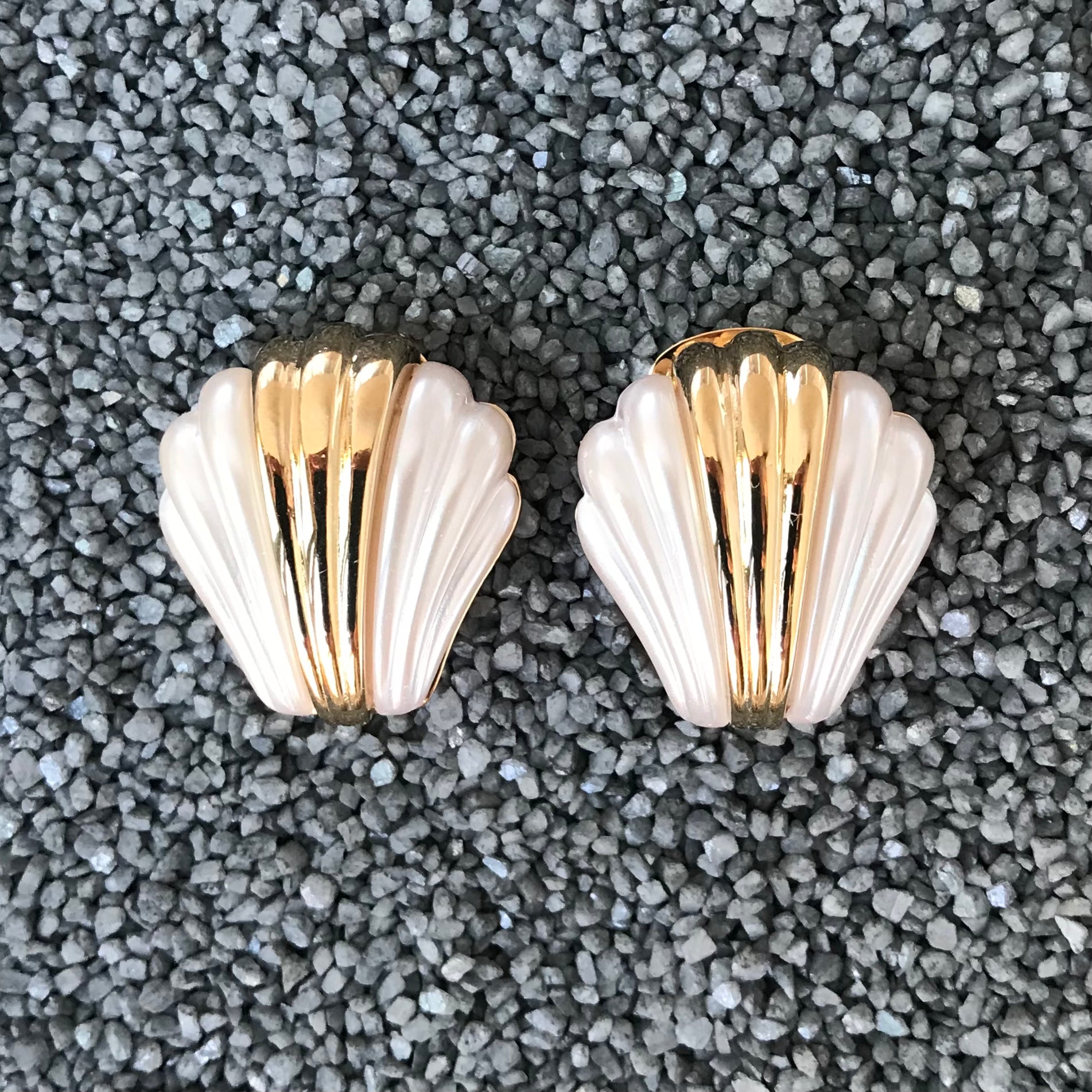 Small Scallop Shell