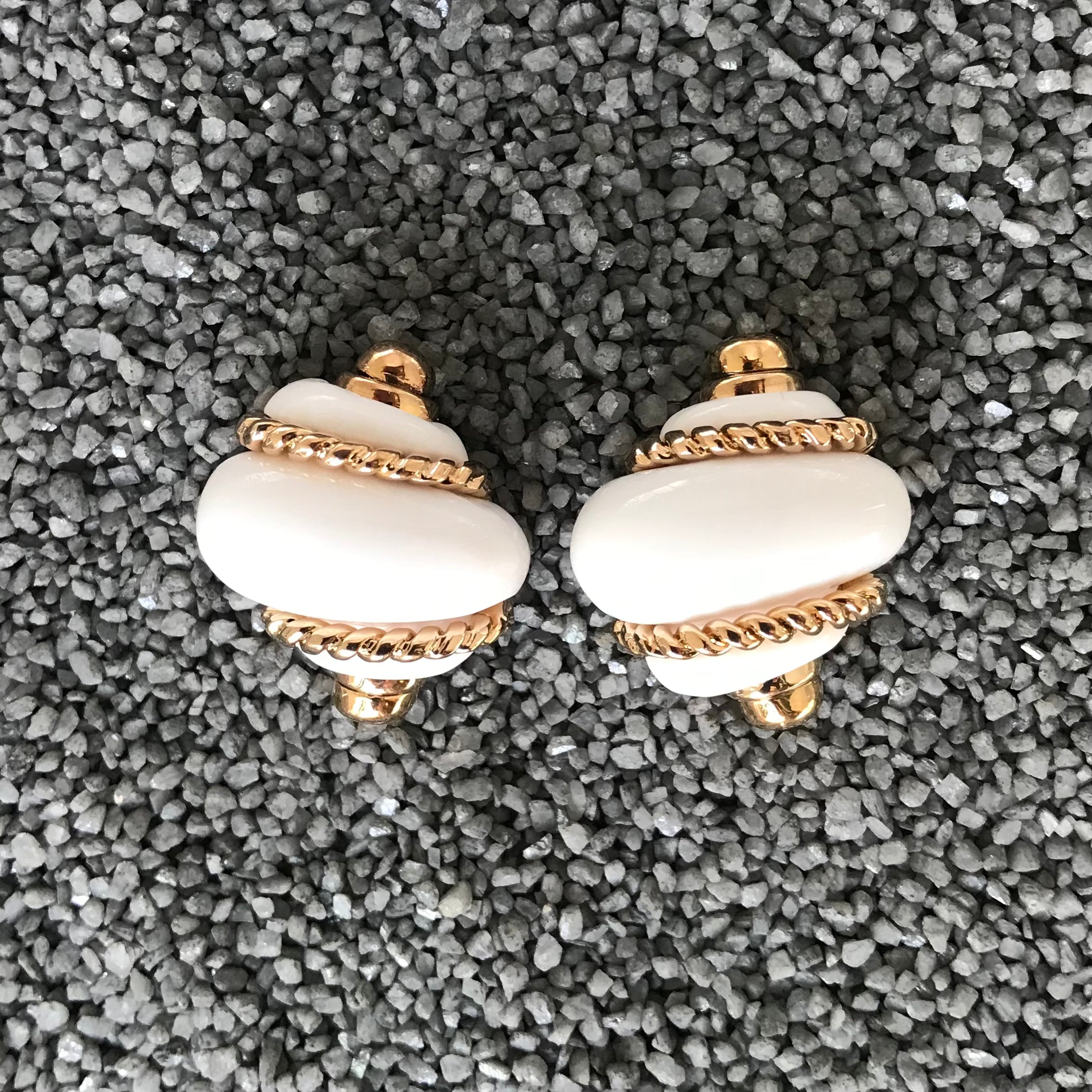 Small Shell in Colors W/Cabs